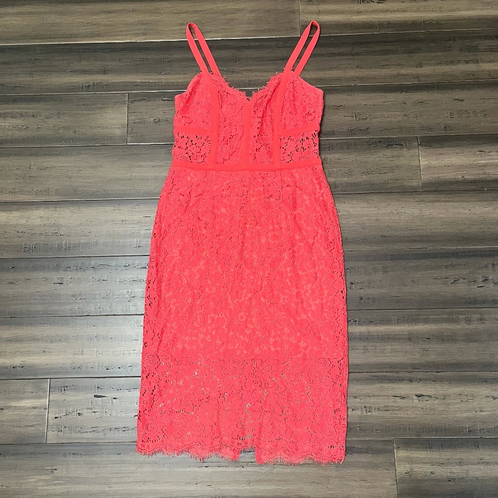 Express Lace Dress